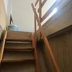 Dandelion Privatunterkunft Warschau