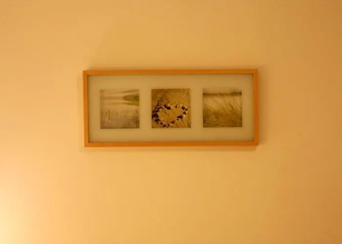 Dandelion 바르샤바