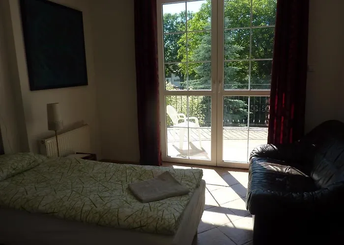 Dandelion * 바르샤바