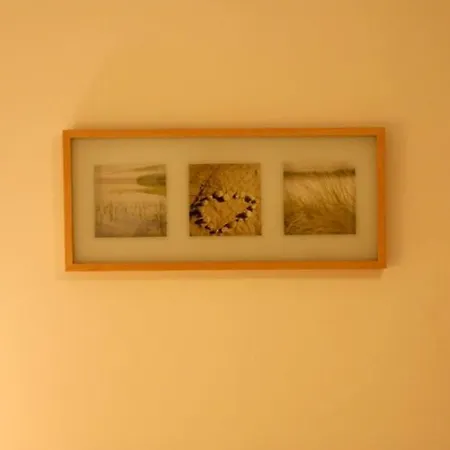 Dandelion Warschau