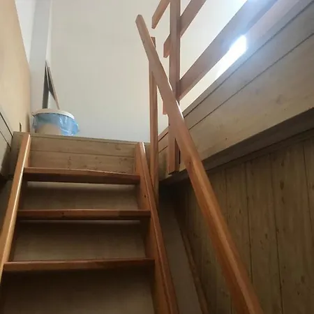 Dandelion Séjour chez l'habitant Varsovie