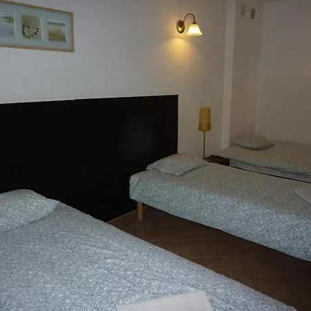 Dandelion * Varsovie