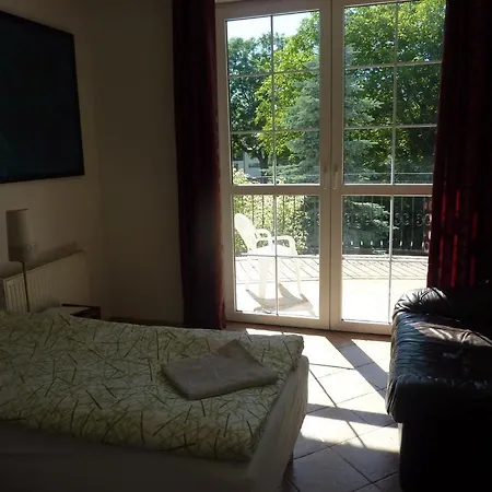 Dandelion * ワルシャワ