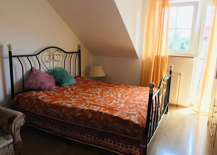 Homestay szállás Dandelion *