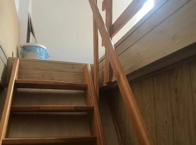 Dandelion Homestay szállás Varsó