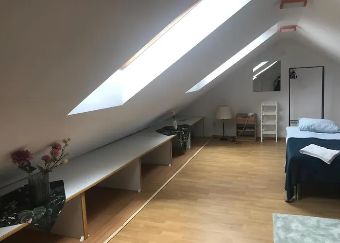 Homestay szállás Dandelion