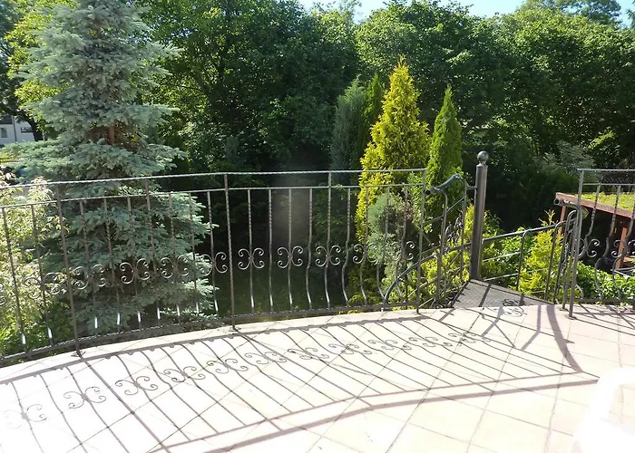 Dandelion Homestay szállás